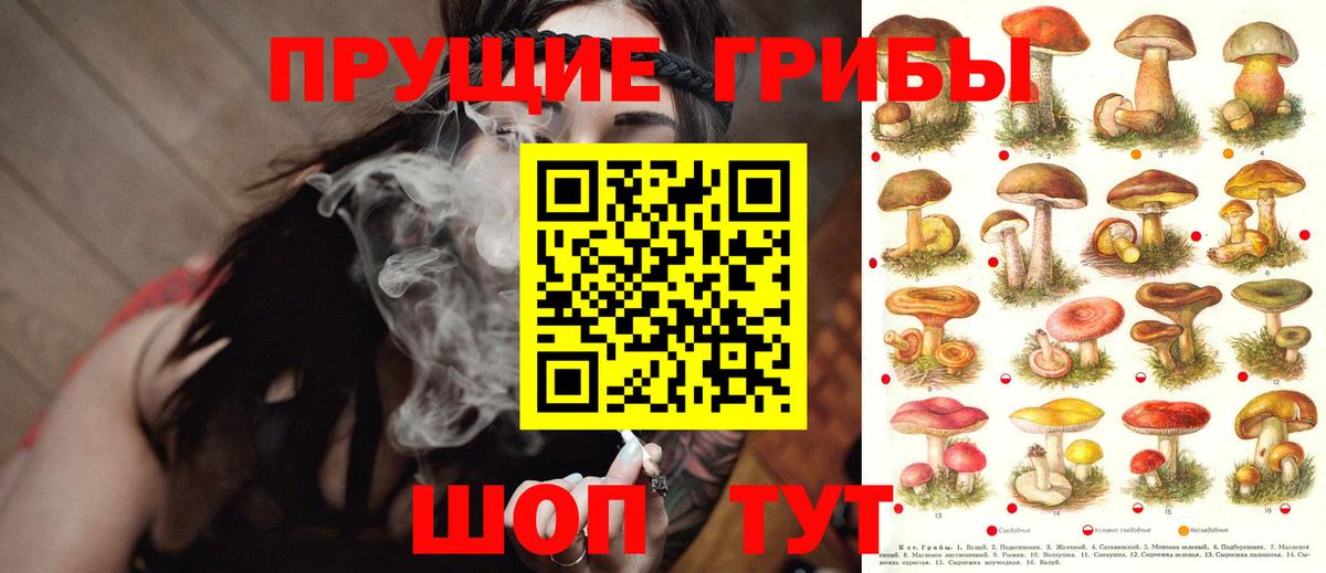 Псилоцибиновые грибы Cubensis  Вход с VPN  Тверь 